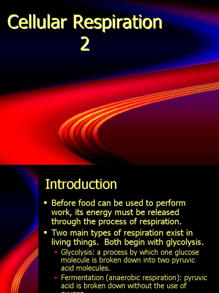 Cellular Respiration 2 | PDF | Cellular Respiration | Fermentation