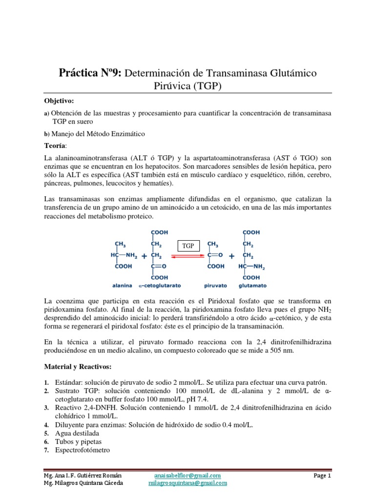 Determinación de TGP en Suero | PDF | Transaminasa | Biomoléculas