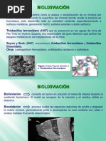 biolixiviacion