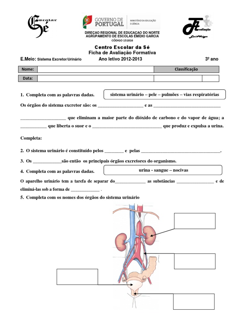 EM3-05 Sistema Urinário | PDF
