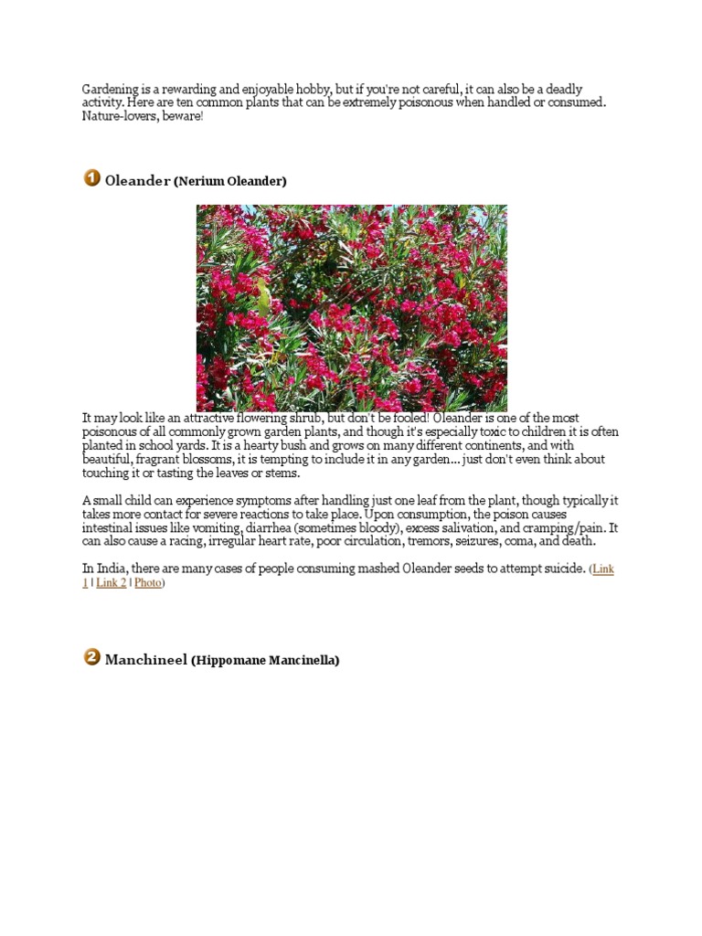 10 Common Plants in Europe Plants Horticulture And Gardening Free