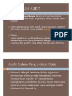 Audit SIM