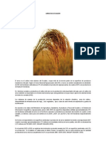 info_tecnica_arroz.pdf
