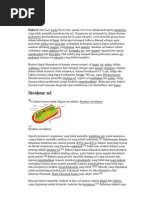 Download Bakterikhamirkapang by Giffary Pramafisi SN111695144 doc pdf