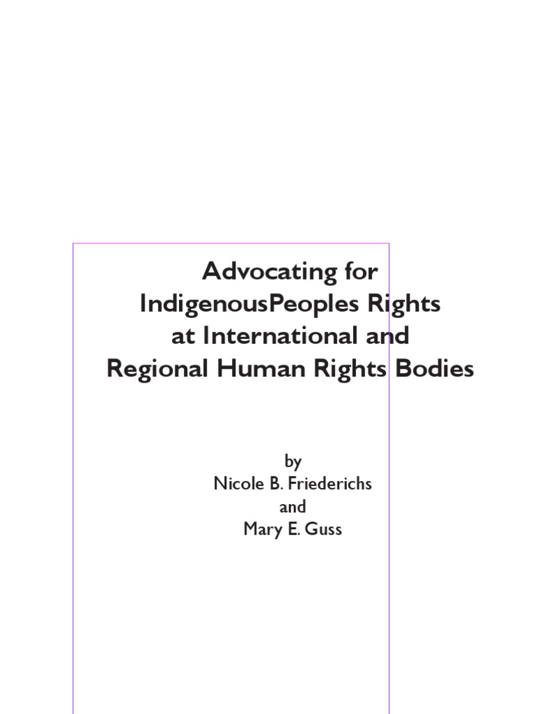 Topic In Depthinternational Advocacy Human Rights Treaty - 