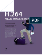 h264 Primer Es