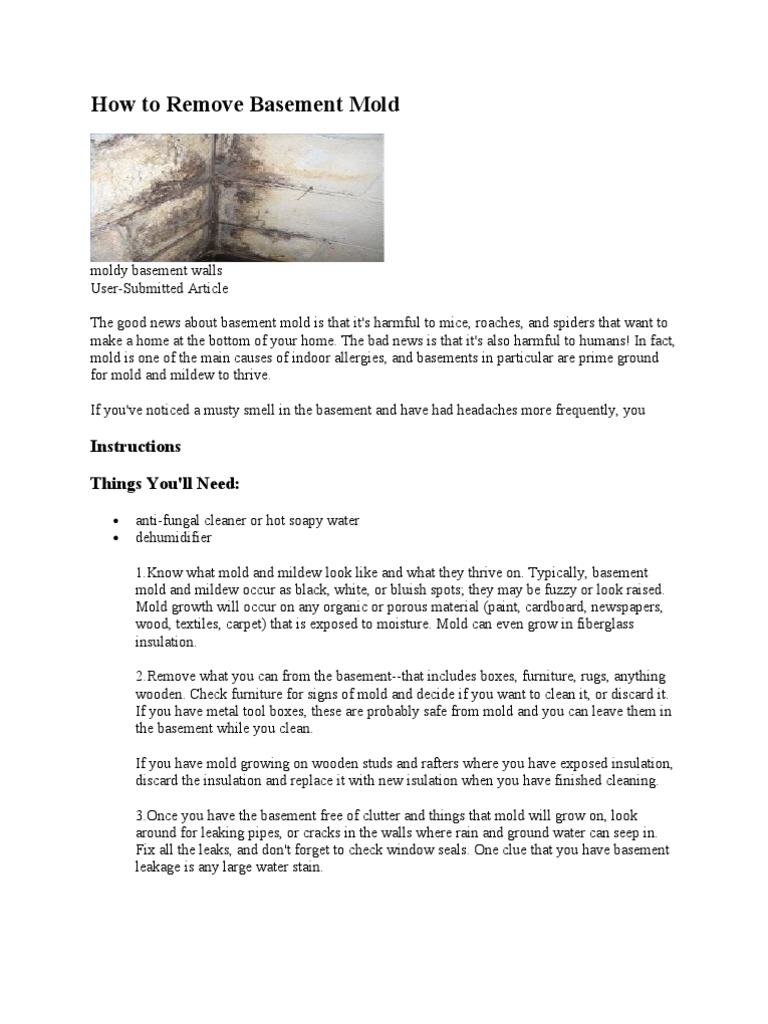 How To Remove Basement Mold Mold Building Engineering How To Remove Basement Mold Mold Building Engineering