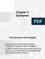 Synapses