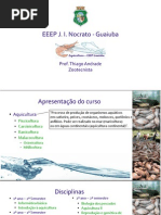 Apresentação do curso