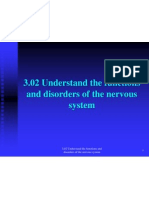 3 02 understand the functions and disorders of the nervous system