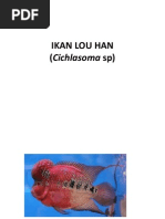 Download Budidaya Ikan Louhanpptx by nurfitri rahim SN111869349 doc pdf