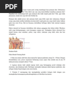 Download bahan penyusun kulit by Sari Effendi SN111888275 doc pdf
