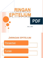 Jaringan Epitelium2