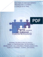 Norma Tecnica Oncologica Pap