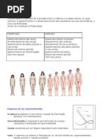 Ciências 9º - sist reprodutor resumos