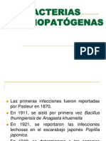 Bacterias Entomopatogenas