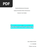 Ensayo Sobre Determinantes