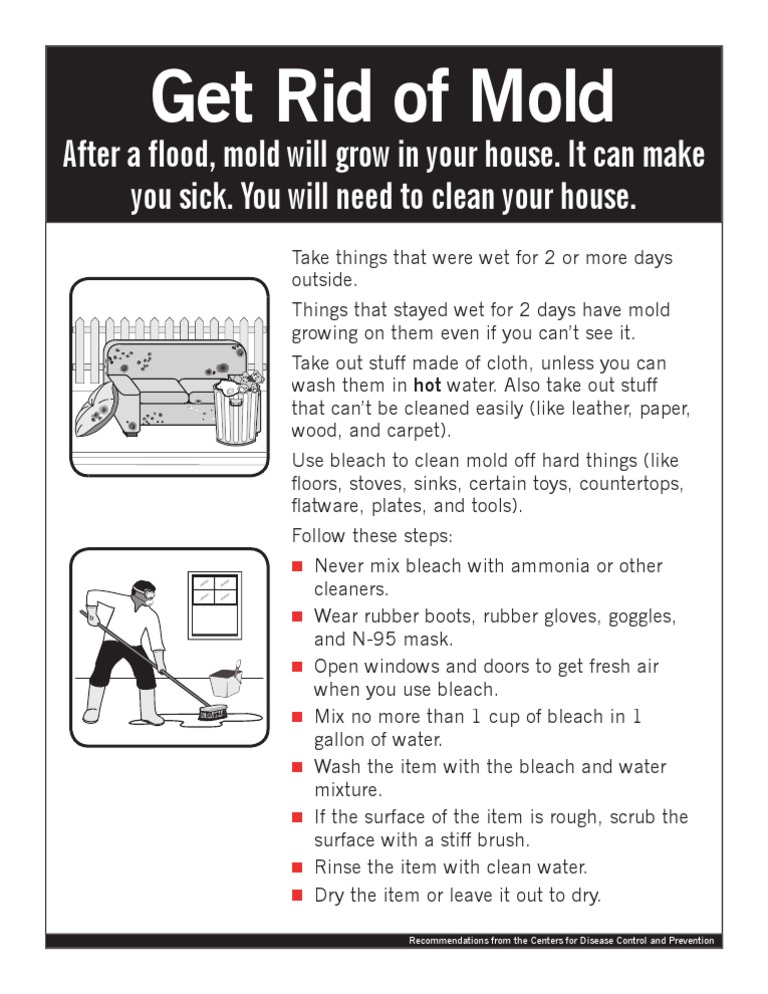 CDC Recommendations Overview | PDF | Home & Garden