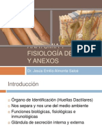 3-Anatomia de La Piel-Curso de Suturas