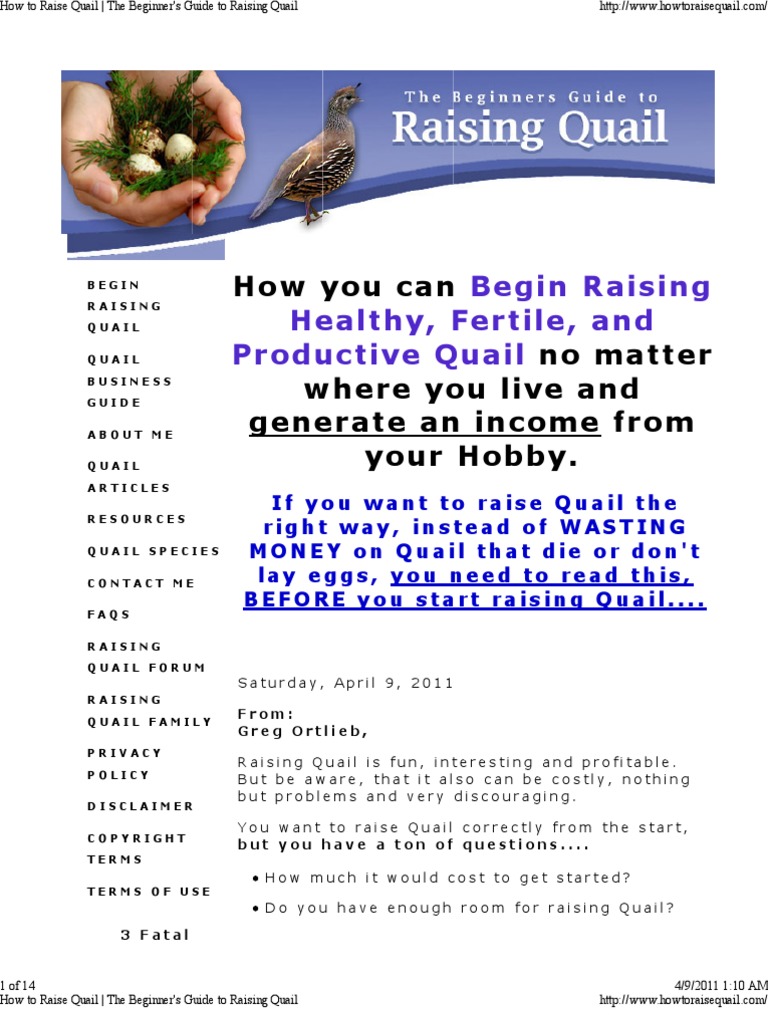 How To Raise Quail The Beginner's Guide To Raising Quail PDF Birds Paravians
