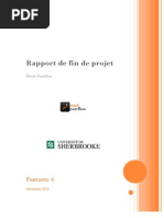 100517932 Rapport de Fin de Projet PDF