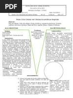 V de Gowin Ciclo Celular