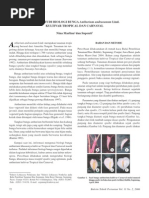 Download anthurium by Nurparistiana SN111980773 doc pdf