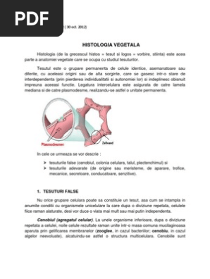 Cursul 2 Pdf