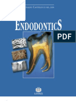 Arnaldo Castellucci - Endodontics - 2