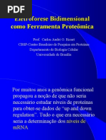 Eletroforese Bidimensional CA