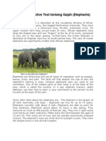 Contoh Descriptive Text Tentang Gajah