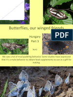 PPP Butterflies, Our Winged Friends, Hungary, Part 3, RenG