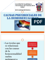 Causas Psicosociales de La Homosexualidad