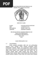 Download LAPORAN PRAKTIKUM BIOTEKNOLOGI 2 by Nanang Budi Santoso SN112062941 doc pdf