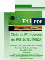 Ciclo de Minicursos Do PIBID-QUÍMICA