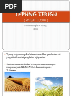 Download TEPUNG TERIGU by Bee SN11209401 doc pdf