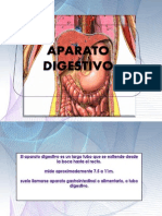 Anatomia Del Aparato Digestivo IiL