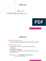 1ª Aula -Célula vegetal2