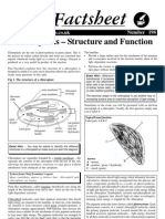 Chloroplasts Structure and Function Factsheet