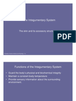 Microsoft PowerPoint - Integumentary System 2