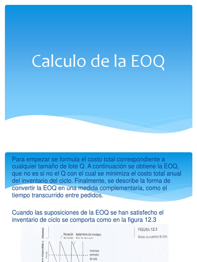 Calculo de La EQQ | PDF | Inventario | Science