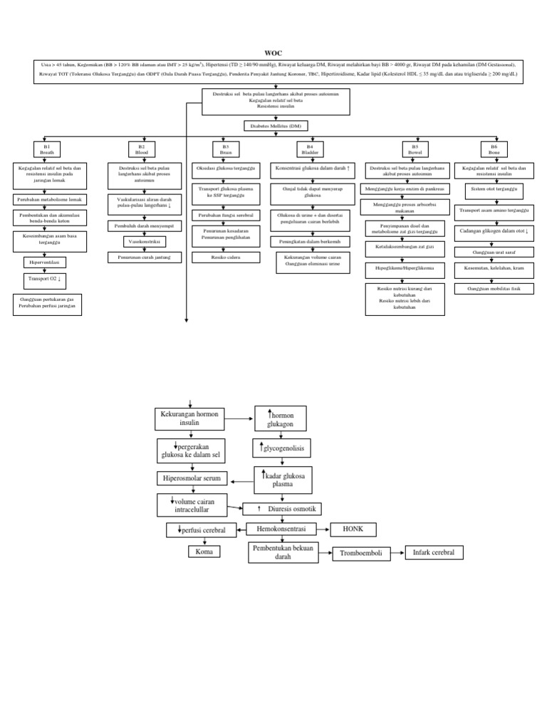 WOC | PDF