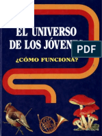 El Universo de Los Jovenes Como Funciona