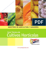 Guía Técnica de Cultivos Hortícolas - Junio 2012 - Ministerio de Agricultura y Ganadería - Paraguay - Portalguarani