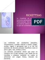 Rickettsias