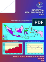 Indonesia Heatlh Profile 2004