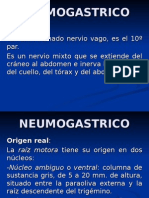 Neu Mo Gastric o