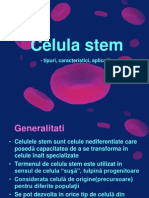 Celula Stem