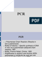 PCR97