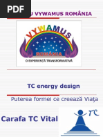 Actiuni Energo-Informationale 2008 PT Ocr | PDF